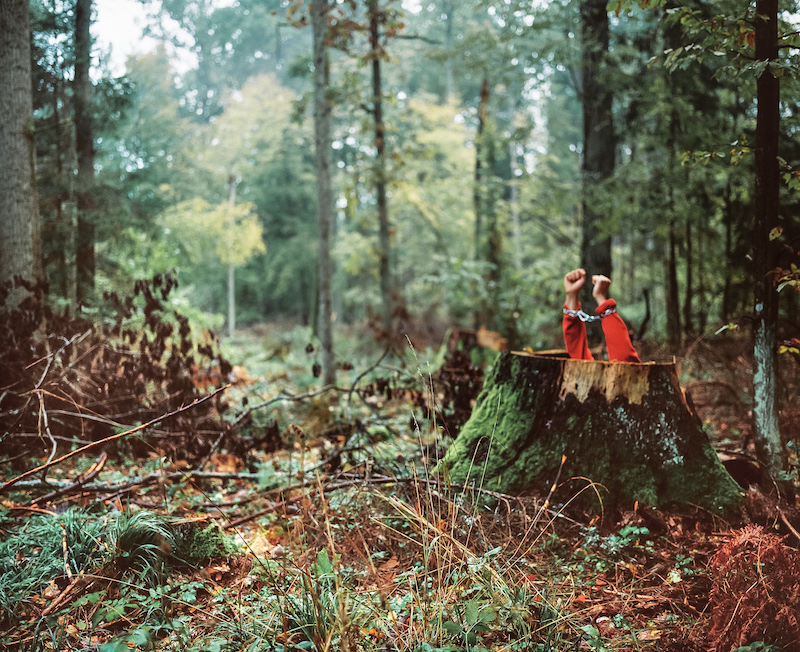 Andrea Olga Mantovani photographie l'agonie d'une forêt